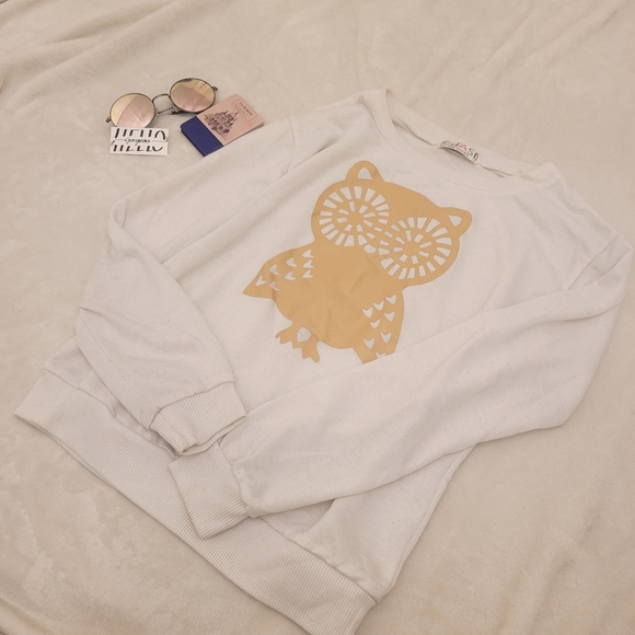 💐3 for $20💐Owl sweater - Picture 1 of 2